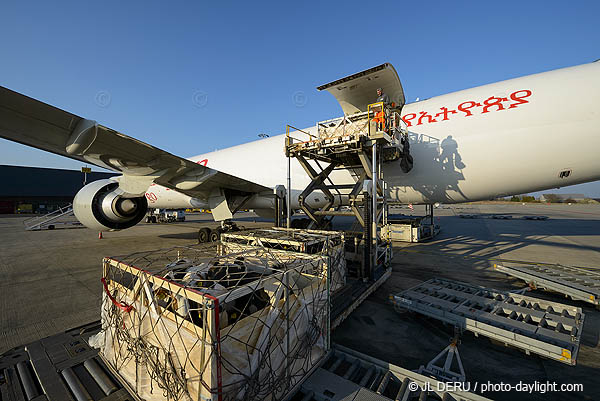 Liege airport
cargo nord